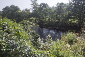 _Glasshouse mill 93.jpg